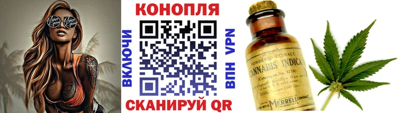 Канабис конопля  Баксан 